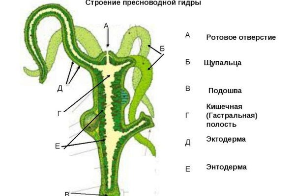 Кракен маркет онион